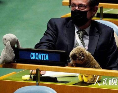 There are plush toys on the tables of representatives from various countries