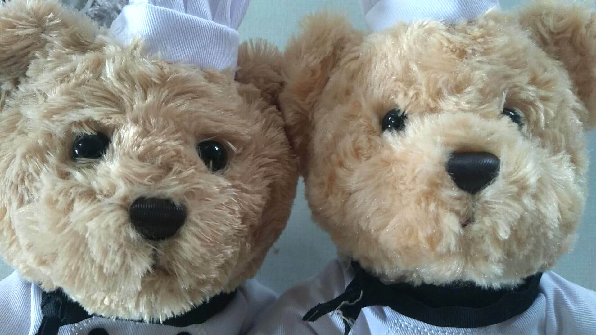 Chef Teddy Bear Adorable Custom Plush Corporate Gift 5 Chef teddy bear soft toy face