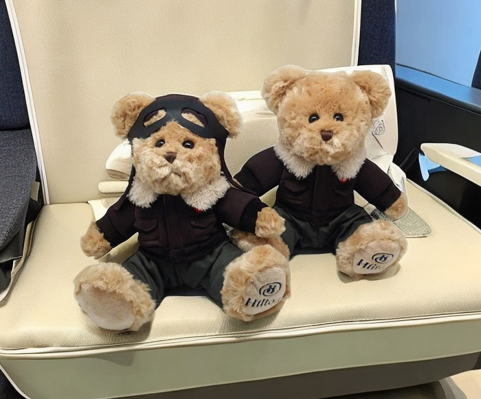 Pilot Stuffed Teddy Bears – Charming Pilot Teddy Bear for Gifts & Promotions 6 Pilot Stuffed Teddy Bears - giftdonna