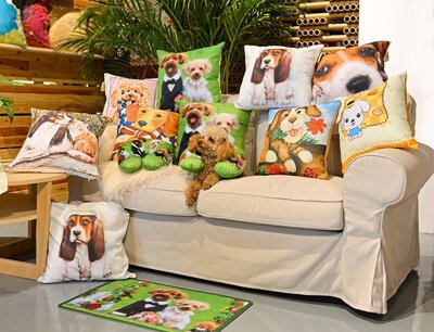 Promotional Gifts Cushions for Comfort