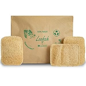 21 Eco Friendly Gifts Under 10 Dollars That Look Chic Not Cheap 11 Natural Loofah Scrubber