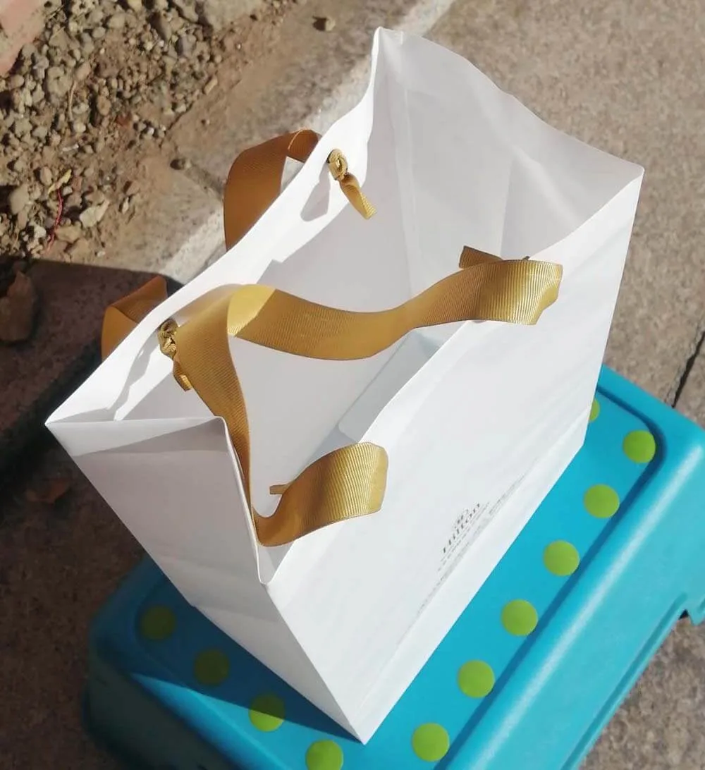 White Translucent Plastic Gift Bags for Hotel and Corporate Packaging Solutions 3 White Translucent Plastic Gift Bags for Corporate Packaging Solutions