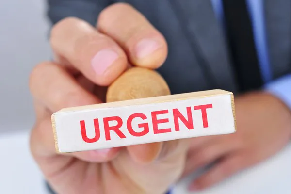 Fast Sampling Service for Urgent Orders and Rapid Project Execution